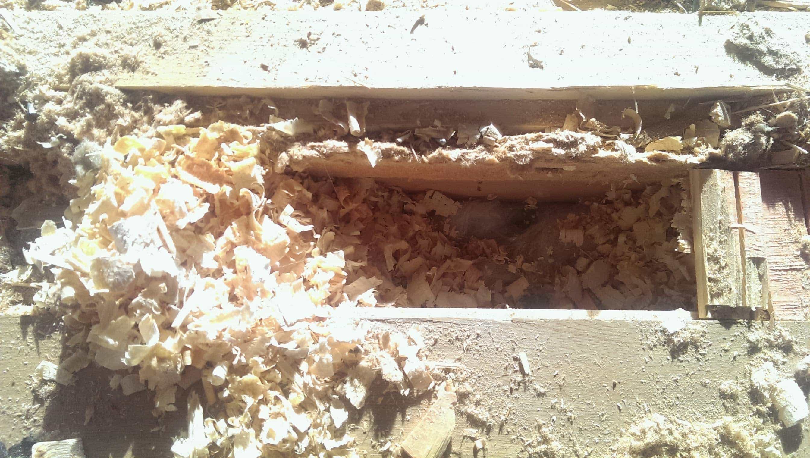 Under mitt vardagsrumsgolv