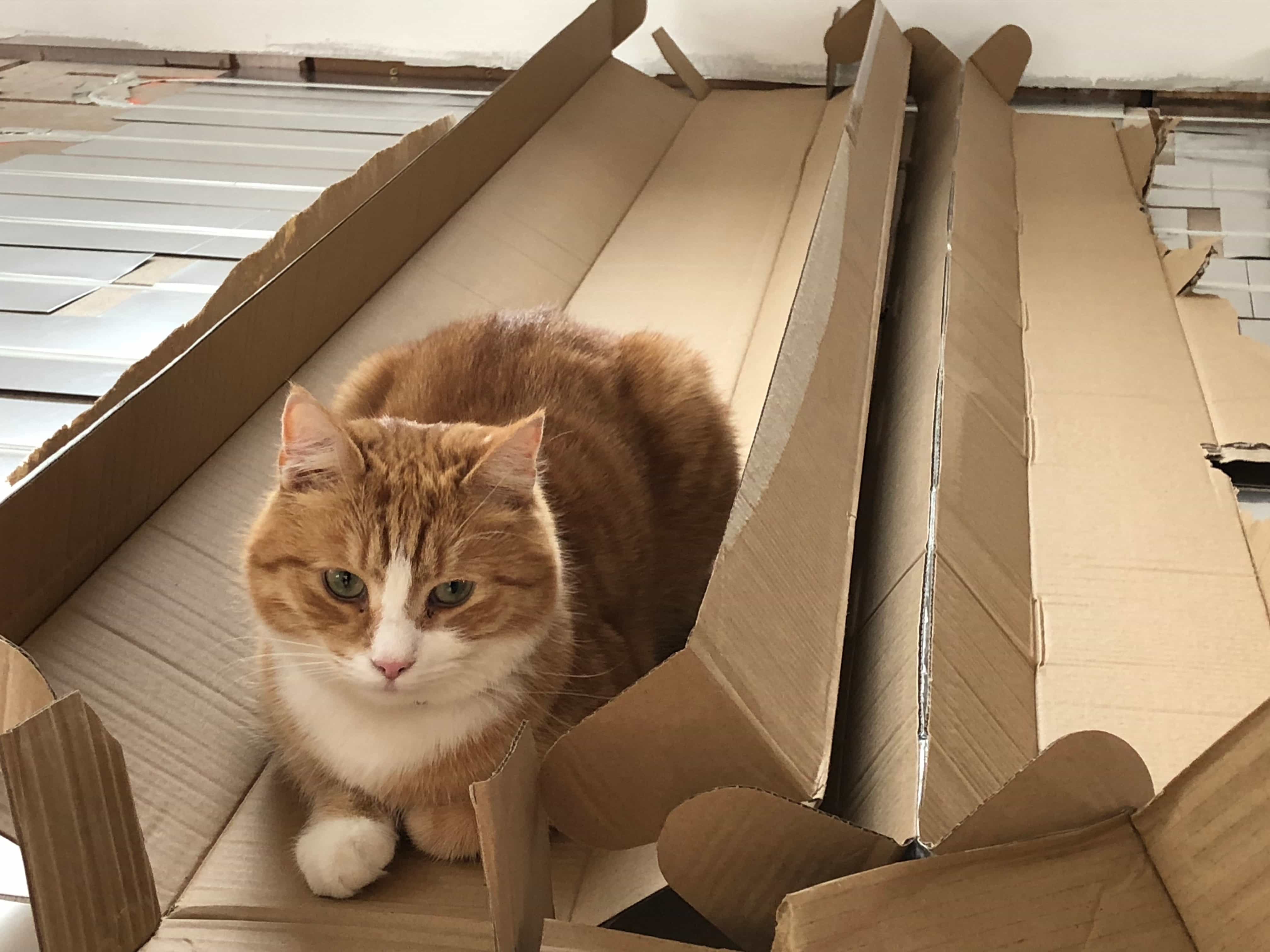 Vad är grejen med lådor?